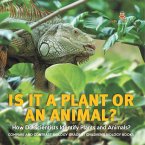 Is It a Plant or an Animal? How Do Scientists Identify Plants and Animals?   Compare and Contrast Biology Grade 3   Children's Biology Books