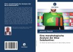 Eine morphologische Analyse der Bisa-Substantive: