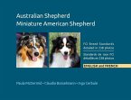 Australian Shepherd, Miniature American Shepherd