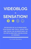 Videoblog-Sensation! (eBook, ePUB)