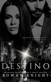 Destino (eBook, ePUB)