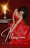 Illusion (eBook, ePUB)