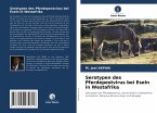 Serotypen des Pferdepestvirus bei Eseln in Westafrika