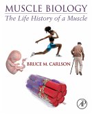 Muscle Biology (eBook, ePUB)