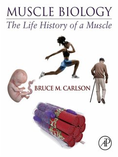Muscle Biology (eBook, ePUB) Cover Muscle Biology (eBook, ePUB)