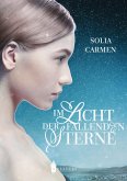 Im Licht der Fallenden Sterne (eBook, ePUB)