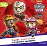 PAW Patrol - Lukas Stern in Not - Bild 1