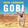 Gobi. Un piccolo cane con un grande... - Bild 1