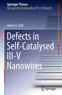 Defects in Self-Catalysed III-V Nanowires - Gott, James A.