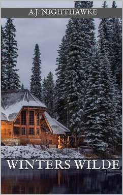 Winters Wilde (eBook, ePUB) - Nighthawke, A. J.
