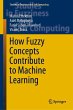 How Fuzzy Concepts Contribute to... - Bild 1