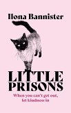 Little Prisons (eBook, ePUB)
