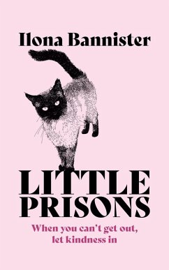 Cover Little Prisons (eBook, ePUB)