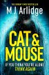 Cat And Mouse (eBook, ePUB) - Bild 1