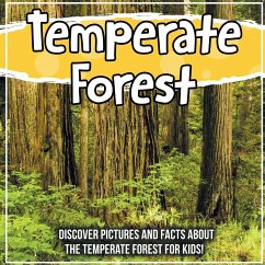 Temperate Forest: Discover Pictures and Facts About The Temperate Forest For Kids! - Kids, Bold