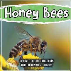 Honey Bees: Discover Pictures and Facts About Honeybees For Kids! - Kids, Bold