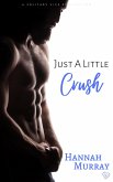 Just A Little Crush (eBook, ePUB)