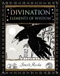Divination (eBook, ePUB) - Bild 1
