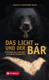 Das Licht und der Bär (eBook, ePUB)