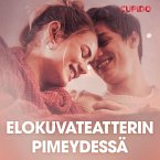 Elokuvateatterin pimeydessä – eroottinen novelli (MP3-Download)