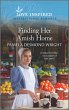 Finding Her Amish Home (eBook, ePUB) - Bild 1