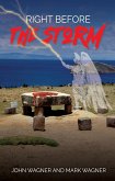 Right Before the Storm (eBook, ePUB)