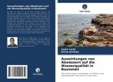 Auswirkungen von Abwässern auf die Wasserqualität in Bouismail