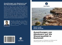 Auswirkungen von Abwässern auf die Wasserqualität in Bouismail - Larbi, Samir;Achiche, Krimo