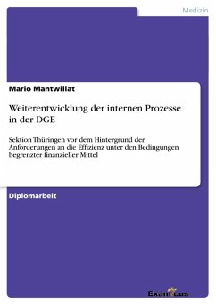 Weiterentwicklung der internen Prozesse in der DGE (eBook, ePUB)