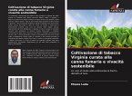 Coltivazione di tabacco Virginia curata alla canna fumaria e vivacità sostenibile