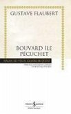 Bouvard ile Pecuchet Ciltli
