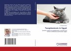 Toxoplasmosis in Egypt