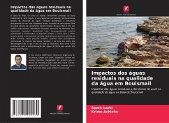 Impactos das águas residuais na qualidade da água em Bouismail - Larbi, Samir;Achiche, Krimo