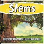 Stems: Discover Pictures and Facts About Stems For Kids!