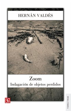 Zoom (eBook, ePUB) - Valdés, Hernán
