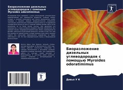 Cover Biorazlozhenie dizel'nyh uglewodorodow s pomosch'ü Myroides odoratimimus