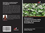 Estrazione e caratterizzazione della proteasi da Jasminum Grandiflorum