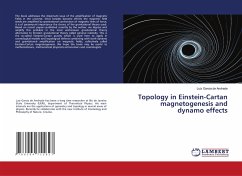 Topology in Einstein-Cartan magnetogenesis and dynamo effects - Garcia de Andrade, Luiz
