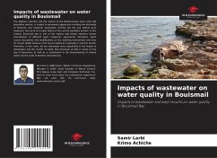 Impacts of wastewater on water quality in Bouismail - Larbi, Samir;Achiche, Krimo
