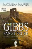 Gibbs fängt Feuer (eBook, ePUB)