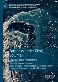 Business Under Crisis, Volume II (eBook, PDF)