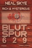 Rich & Mysterious (eBook, ePUB)