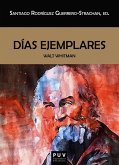 Días ejemplares (eBook, ePUB)