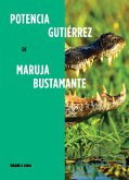 Potencia Gutiérrez (eBook, ePUB)