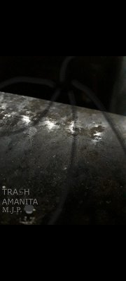 Cover Trash (eBook, ePUB)