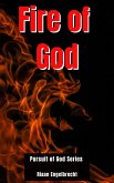 Fire of God (In pursuit of God) (eBook, ePUB)