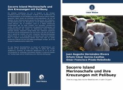 Socorro Island Merinoschafe und ihre Kreuzungen mit Pelibuey - Hernández-Rivera, Juan Augusto;García-Casillas, Arturo César;Prado-Rebolledo, Omar Francisco