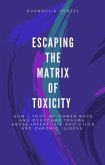 Escaping The Matrix Of Toxicity (eBook, ePUB)