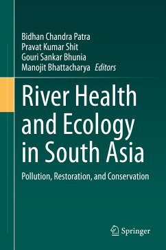 River Health and Ecology in South Asia (eBook, PDF)