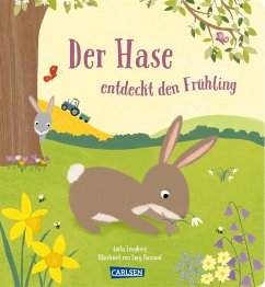 Der Hase entdeckt den Frühling (Mängelexemplar) - Loughrey, Anita